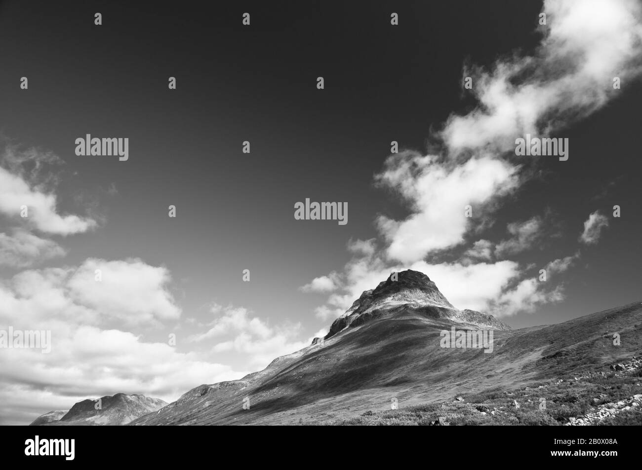 Fiera di fronte al Parco Nazionale Norvegese Jotunheimen, Foto Stock