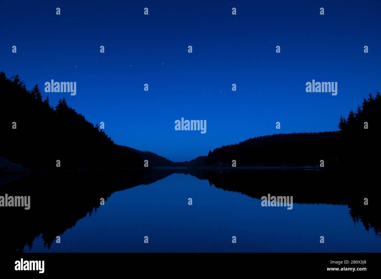 Lago calmo nella foresta di Turingia, di notte, Foto Stock