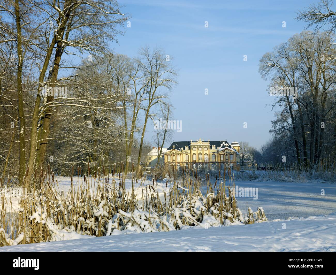 Molsdorf Castello, palazzo estivo con parco in inverno, Molsdorf vicino Erfurt, Turingia, Germania, Foto Stock