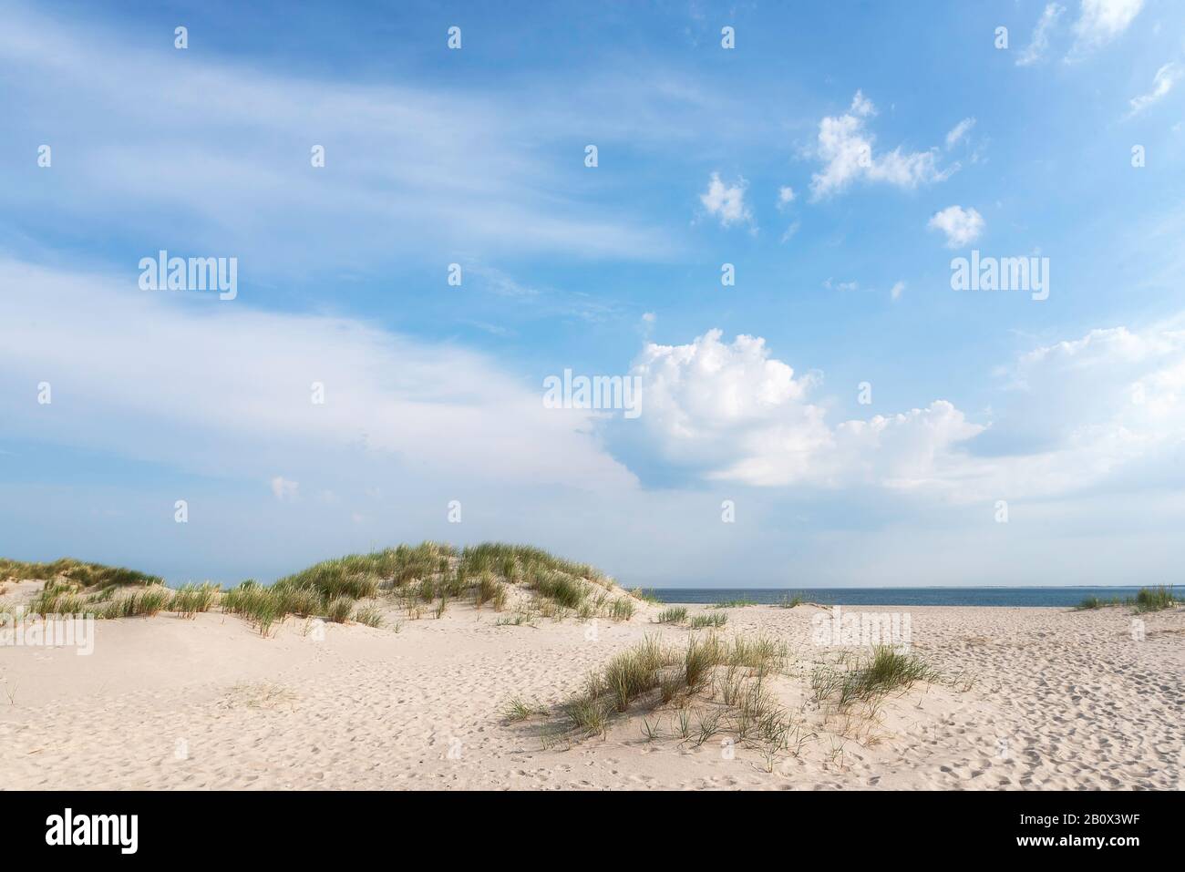 Scenario di spiaggia con sabbia bianca ed erba di marram sotto un cielo blu, sull'isola di Sylt, al Mare del Nord, Germania. Estate soleggiata spiaggia paesaggio. Spiaggia vuota Foto Stock