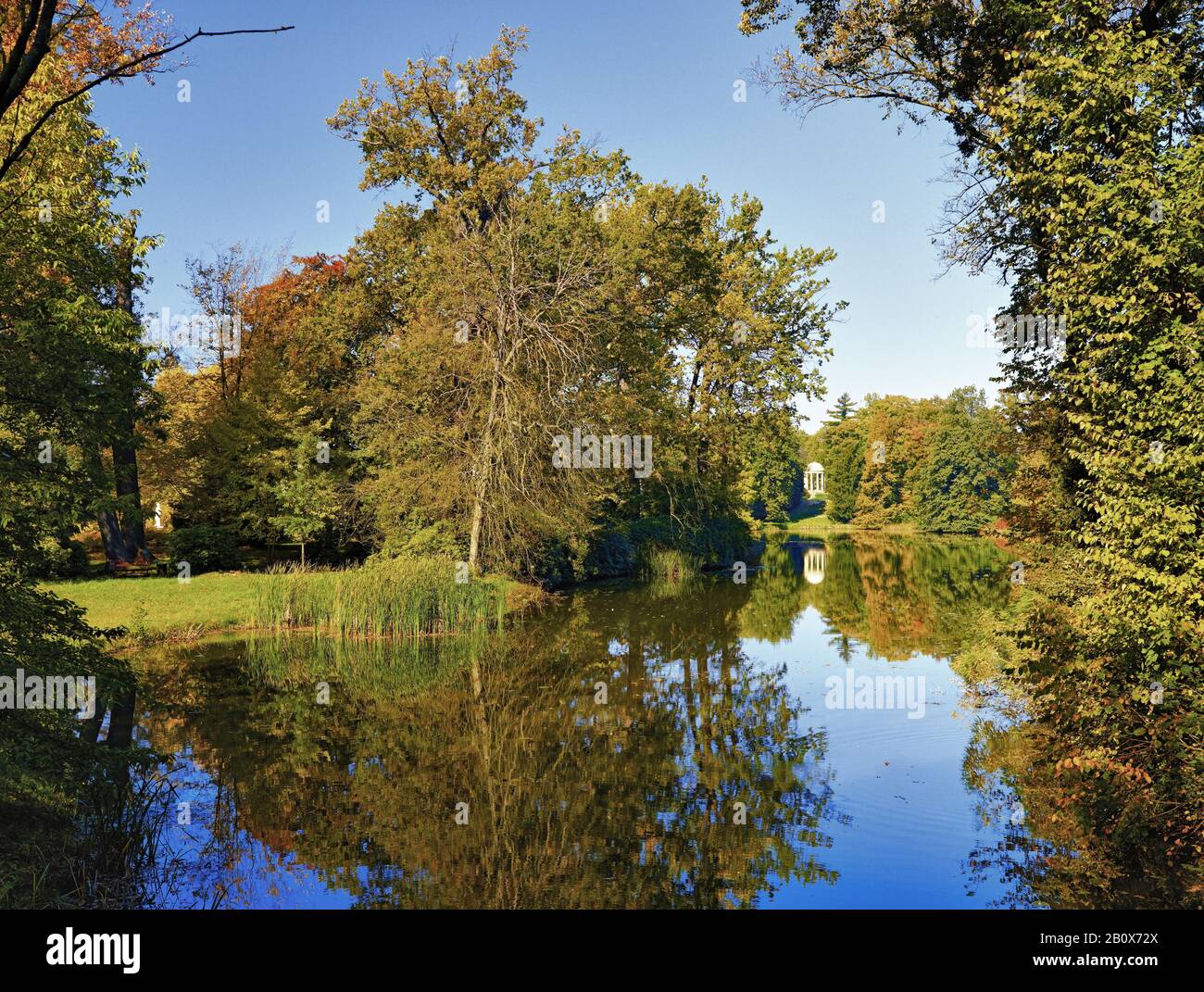 Vista al tempio di Venere su piccolo buco di balena nel Parco di Wörlitz, Wörlitz, Sassonia-Anhalt, Germania, Foto Stock