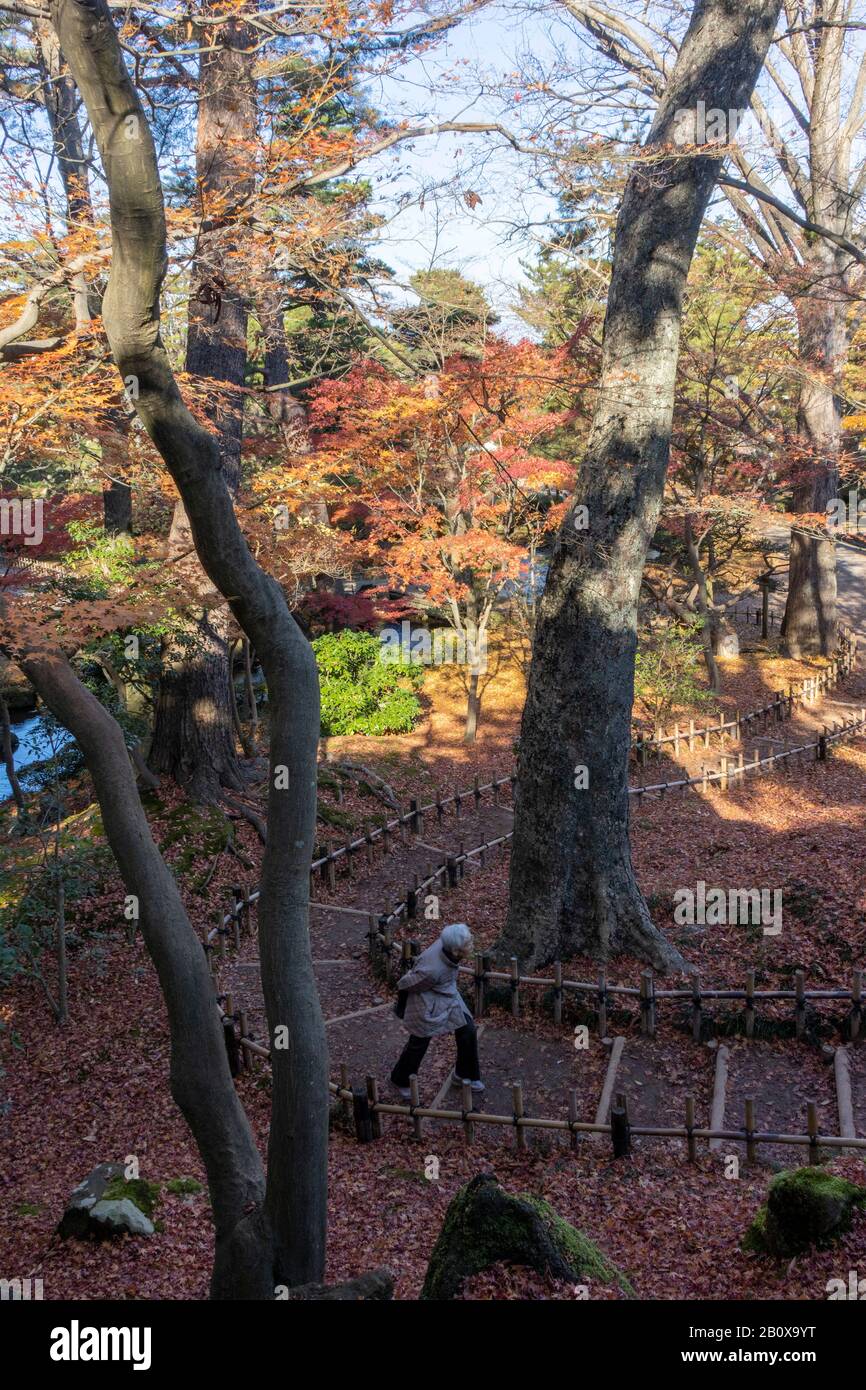 Il Kenroku-en giardino, Kanazawa, Giappone Foto Stock