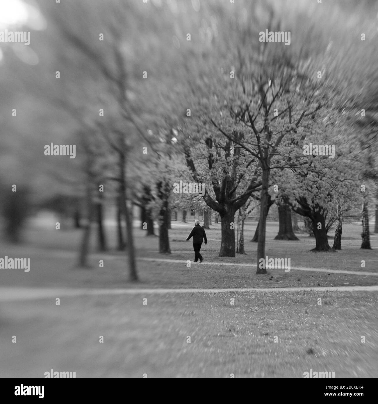 Uomo cammina attraverso un parco, Foto Stock