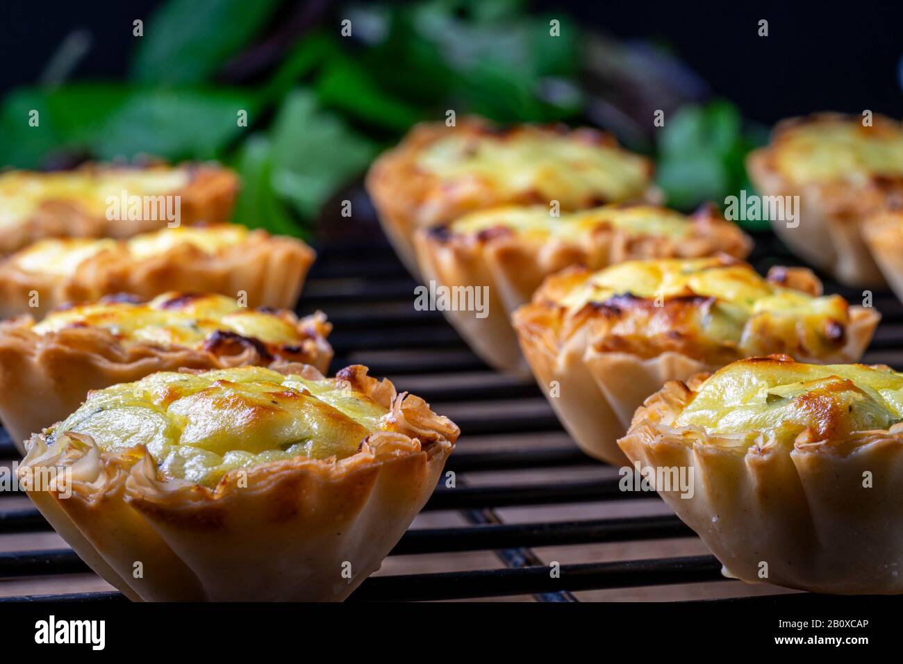 Tazze di pasta filata riempite con miscela feta su una griglia di raffreddamento nera. Foto Stock