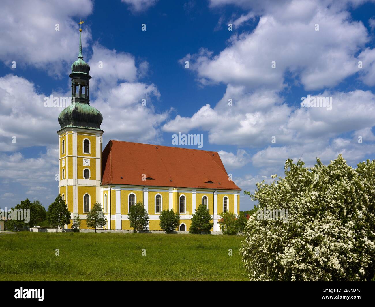 Chiesa barocca di pellegrinaggio a Rosenthal, Oberlausitz, Sassonia, Germania, Foto Stock