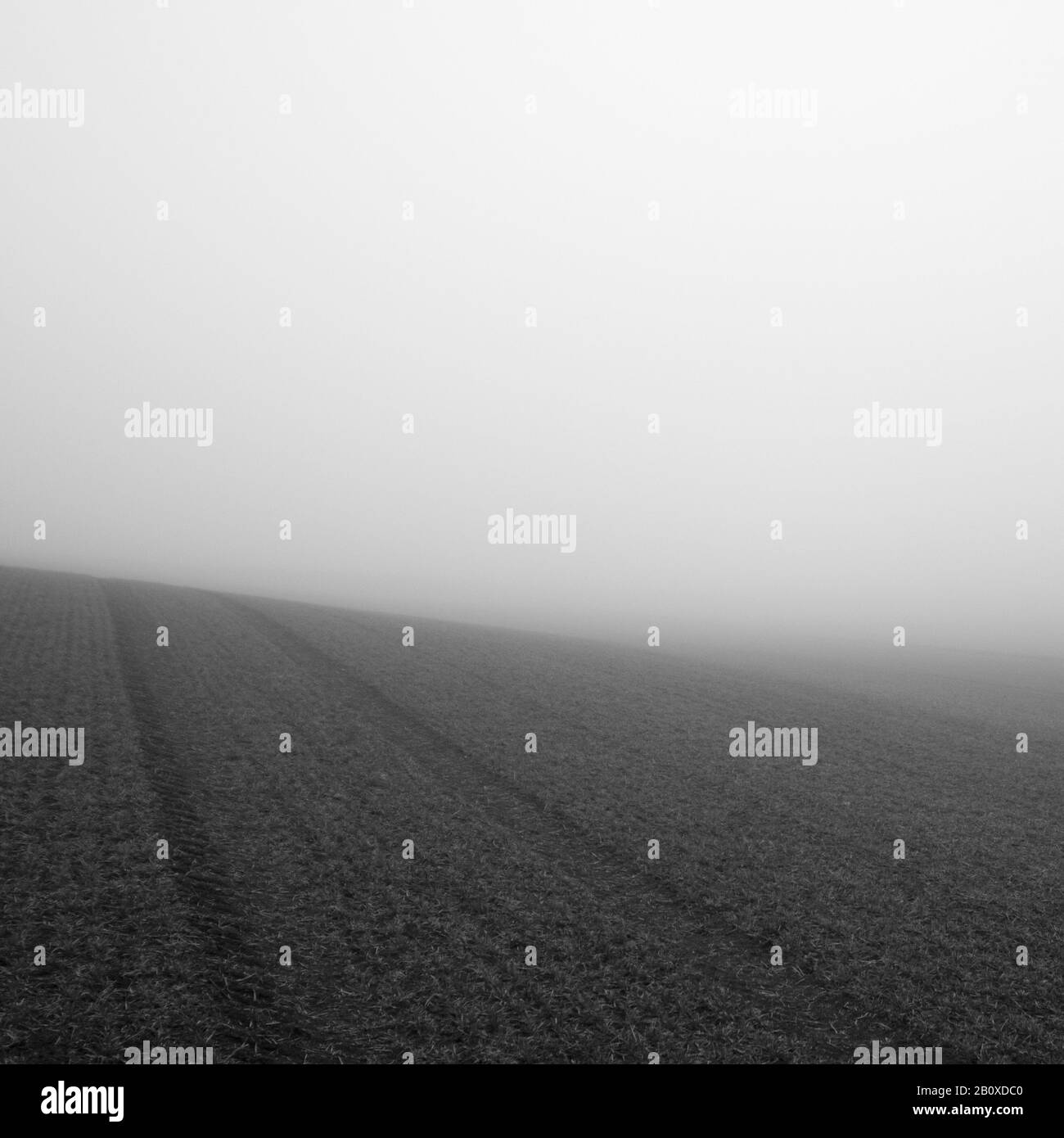 Campo in nebbia, Foto Stock