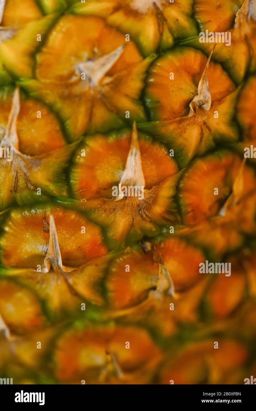 Primo piano di ananas Foto Stock