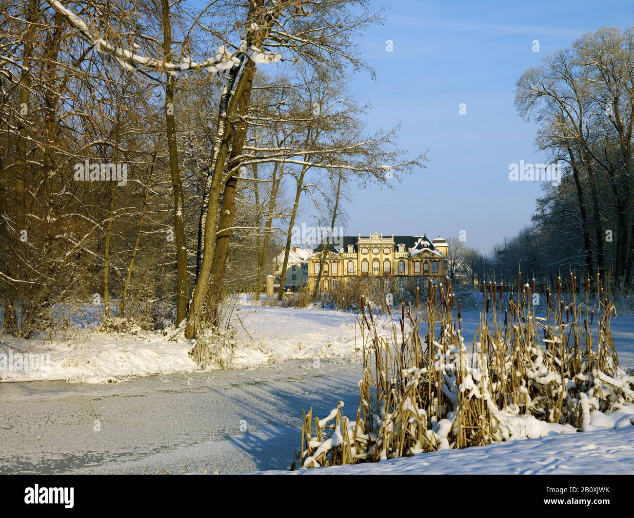 Molsdorf Castello, palazzo estivo con parco in inverno, Molsdorf vicino Erfurt, Turingia, Germania, Foto Stock