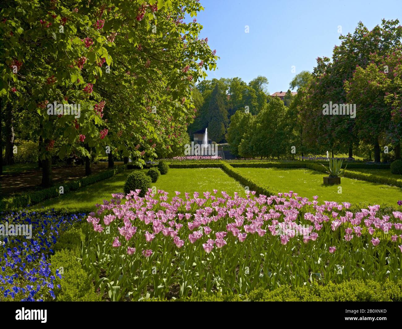 Asse Idrico A Schlosspark Ballenstedt, Sassonia-Anhalt, Germania, Foto Stock