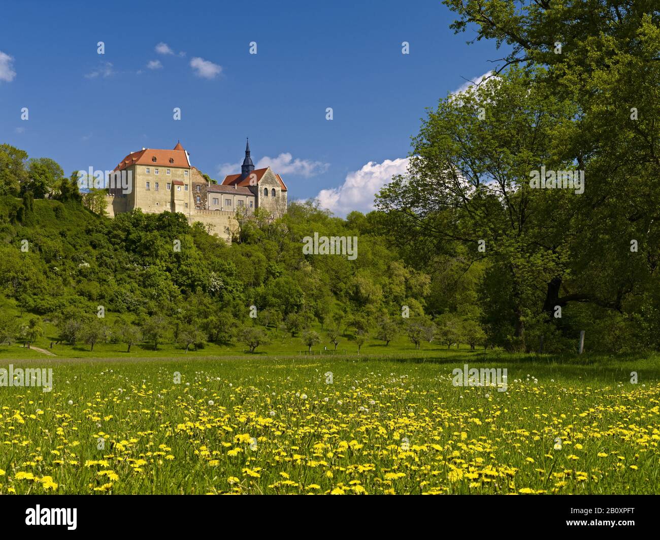 Castello Di Goseck Sopra La Valle Di Saale, Goseck Vicino A Freyburg, Burgenlandkreis, Sassonia-Anhalt, Foto Stock