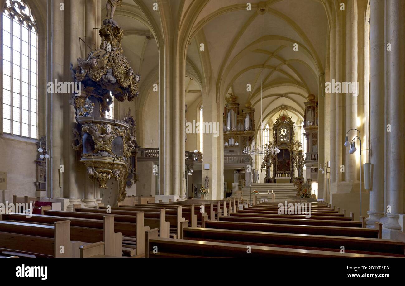 Cattedrale Di San Pietro E Paolo Al Castello Di Moritzburg, Zeitz, Sassonia-Anhalt, Germania, Foto Stock