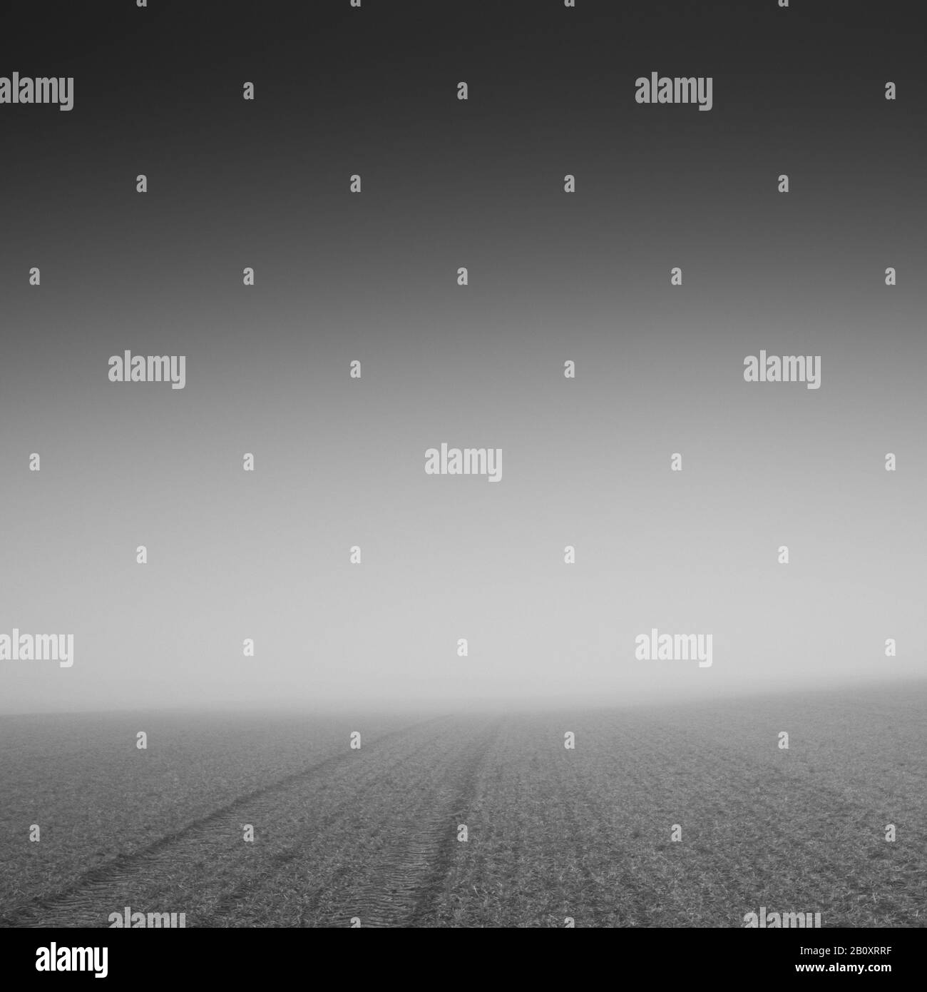 Campo in nebbia, Foto Stock