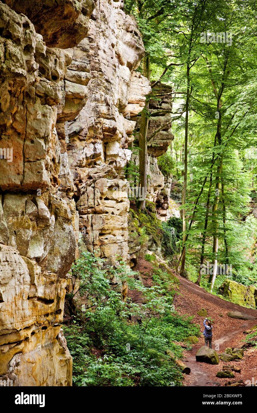 Parete rocciosa della Gola del Diavolo nel Parco Naturale dell'Eifel Sud, Germania, Renania-Palatinato, Eifel, Irrel Foto Stock