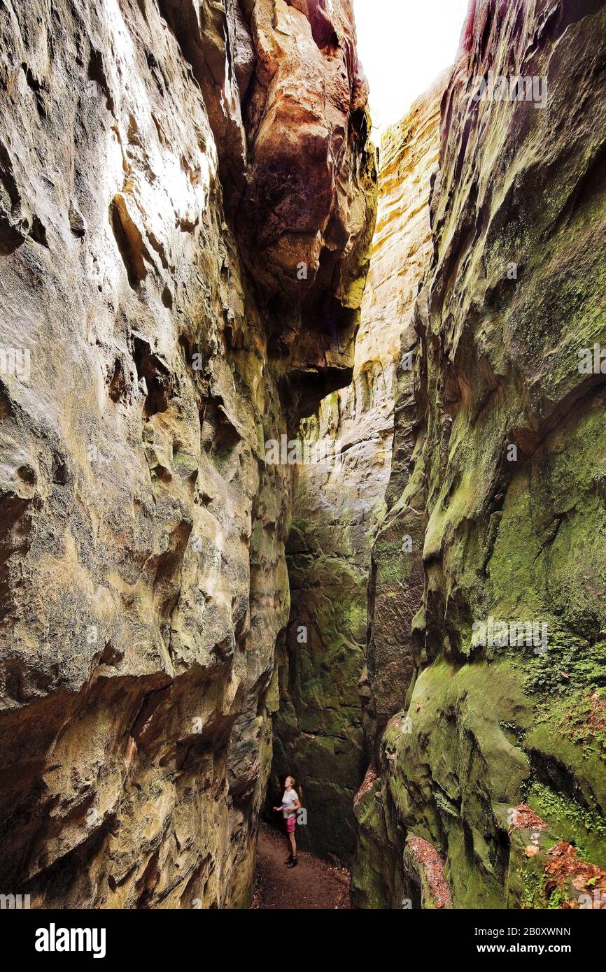 Persone nella Gola del Diavolo nel Parco Naturale dell'Eifel Sud, Germania, Renania-Palatinato, Eifel, Irrel Foto Stock