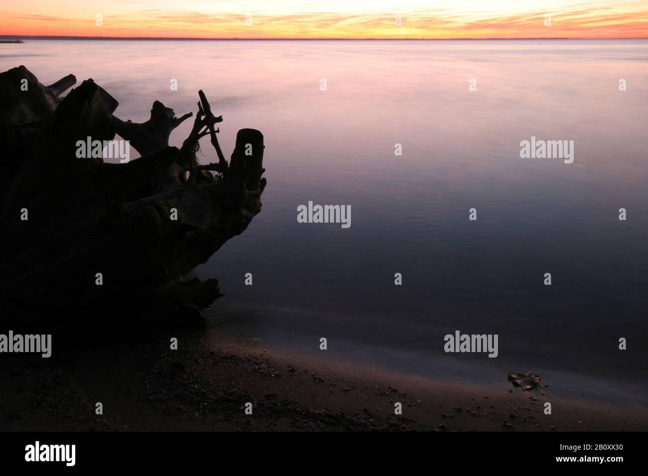 Caduta Notturna A Oderdelta, Polonia Foto Stock