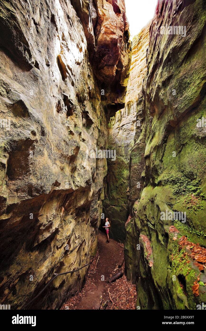 Persone nella Gola del Diavolo nel Parco Naturale dell'Eifel Sud, Germania, Renania-Palatinato, Eifel, Irrel Foto Stock