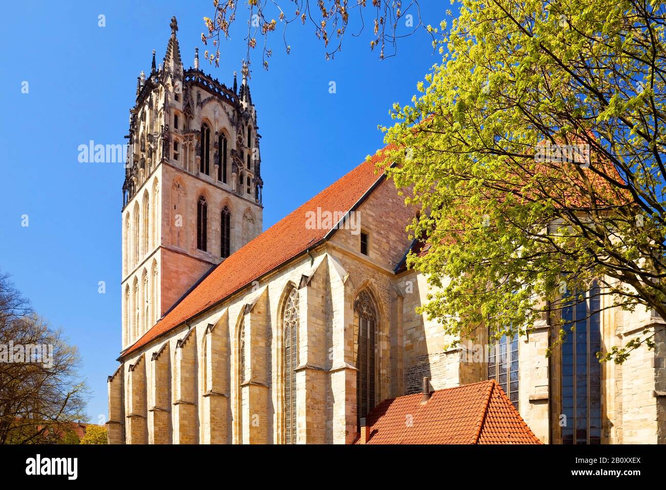 Ueberwasserkirche, Germania, Renania Settentrionale-Vestfalia, Munster Foto Stock