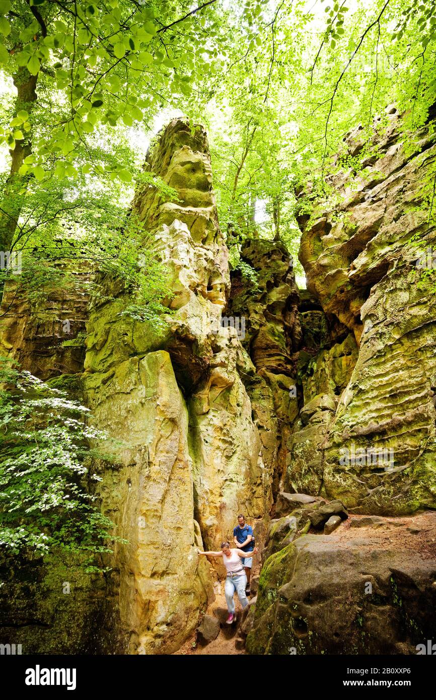 Formazione rocciosa della Gola del Diavolo nel Parco Naturale dell'Eifel Sud, Germania, Renania-Palatinato, Eifel, Irrel Foto Stock