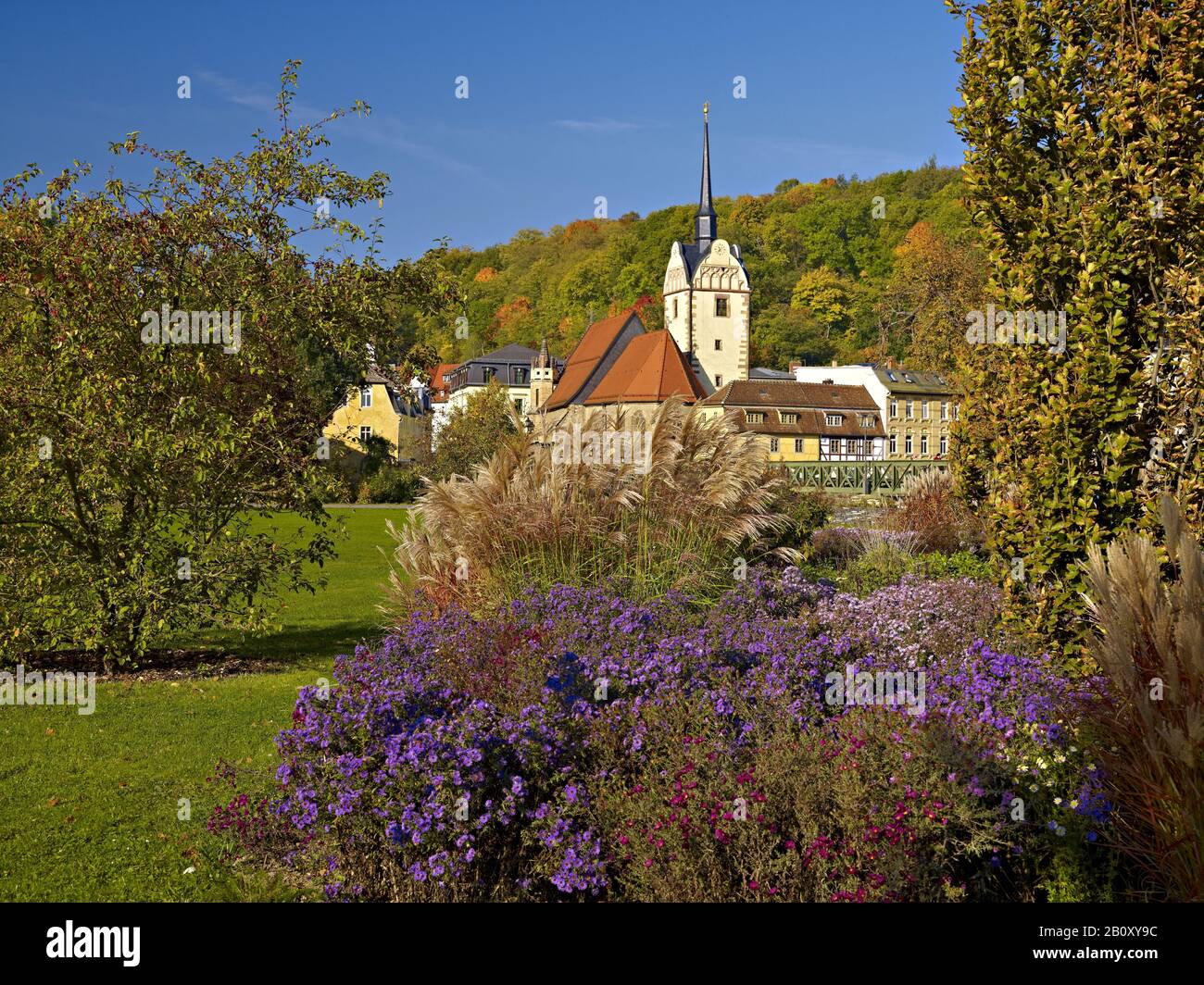 Hofwiesenpark e Untermhaus con chiesa di S. Maria a Gera, Turingia, Germania, Foto Stock