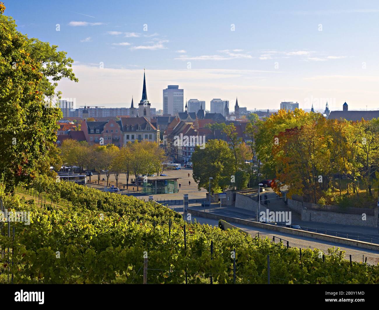 Vista panoramica dal vigneto sul monte Petersberg al centro di Erfurt, Turingia, Germania, Foto Stock