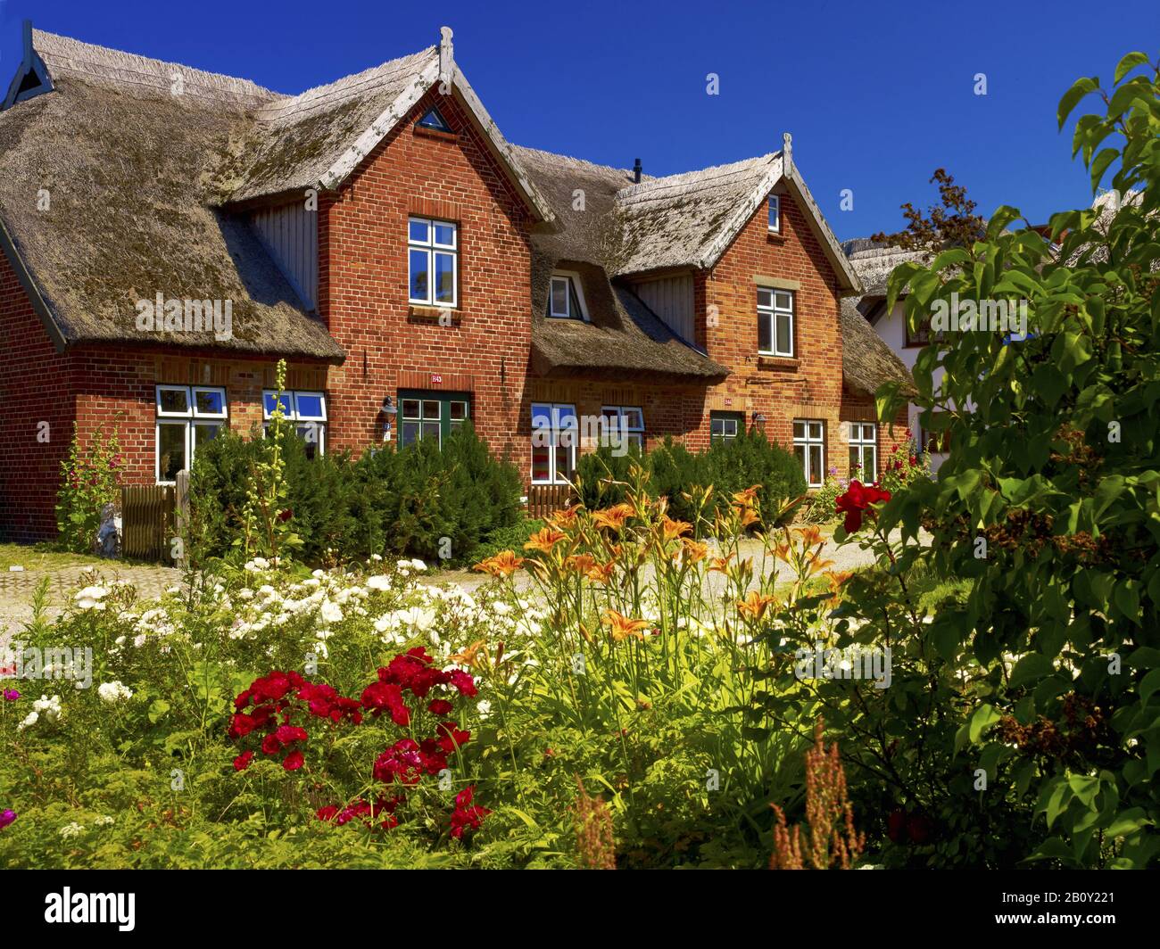 Casa a Ahrenshoop con tetto di paglia, Fischland-Darss-Zingst, Mecklenburg-Vorpommern, Germania, Foto Stock