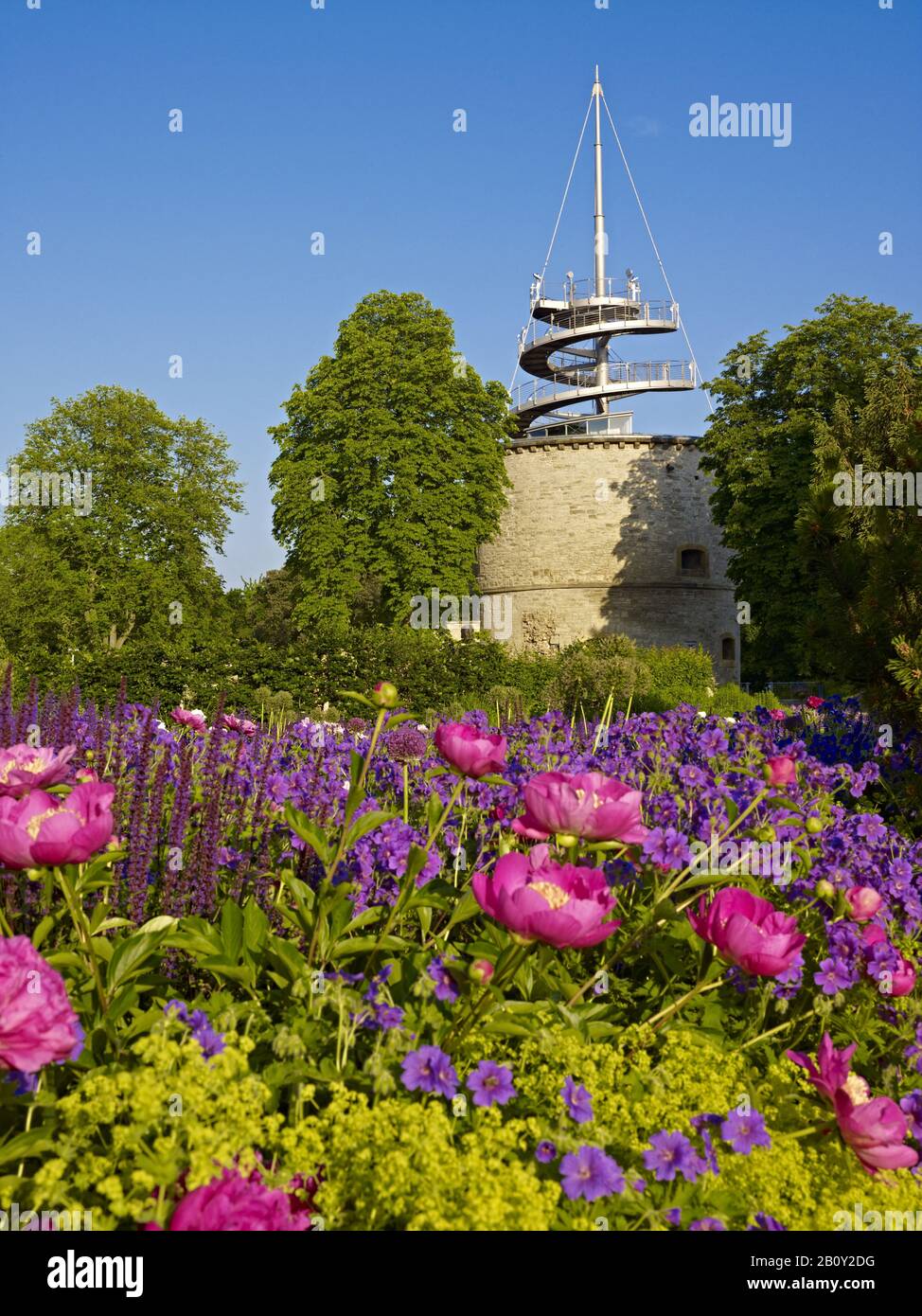 EGA-Park, letto peony (peonie) con torre di osservazione a Erfurt, Turingia, Germania, Foto Stock
