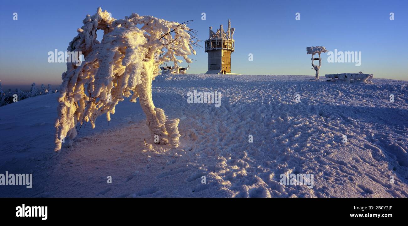 Neve con torre radio e albero innevato sulla Schmücke, Turingia, Germania, Foto Stock