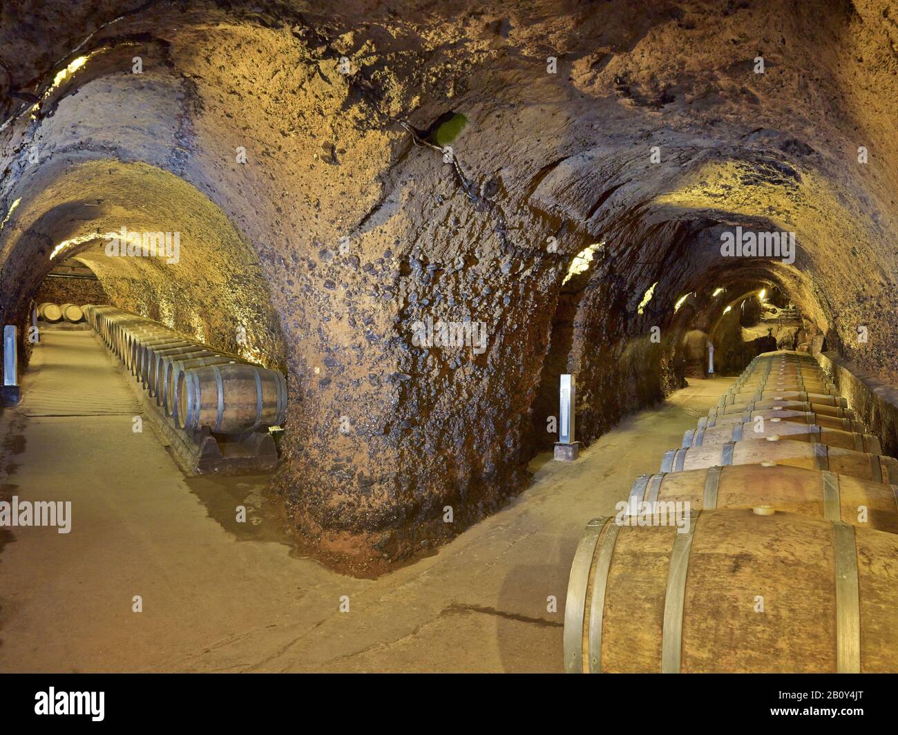 Deposito di vino nella cantina di roccia Ksara, pianura di Bekaa, Libano, Foto Stock