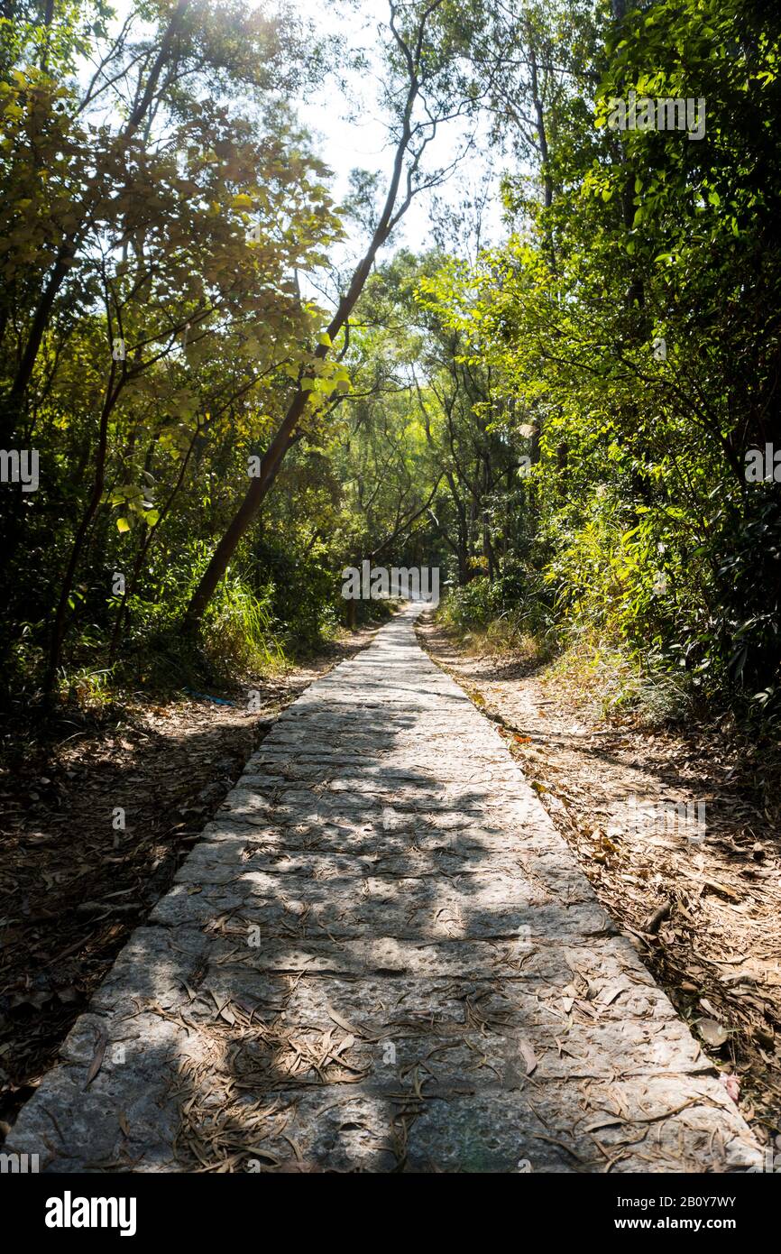 Sentiero in pietra, sentiero, strada di campagna, sentiero, vicolo, corsia nella foresta come sfondo, Tsing Yi sentieri natura Foto Stock