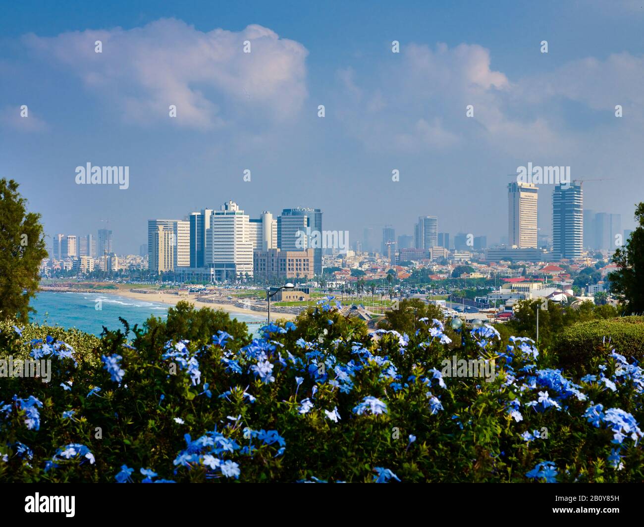 Vista Dal Ramses Garden Di Jaffa A Tel Aviv, Israele, Vicino Oriente, Foto Stock