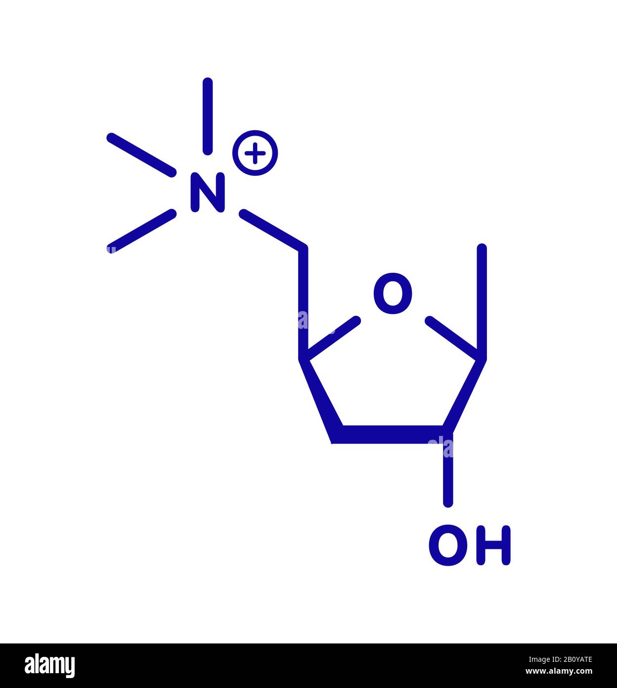Molecola di tossina muscarina a fungo, illustrazione Foto Stock
