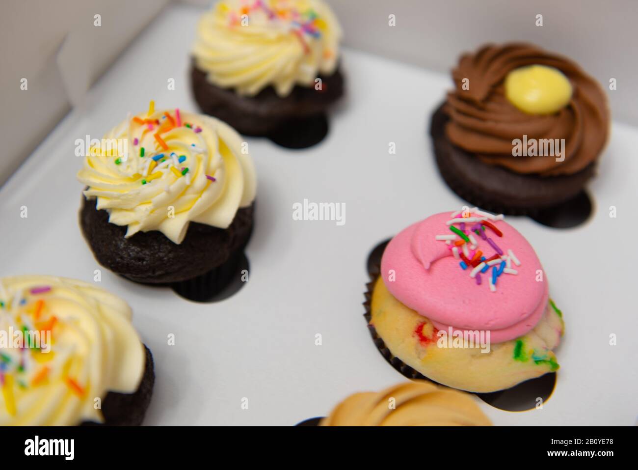 Mezza dozzina di cupcake assortiti in una scatola Foto Stock