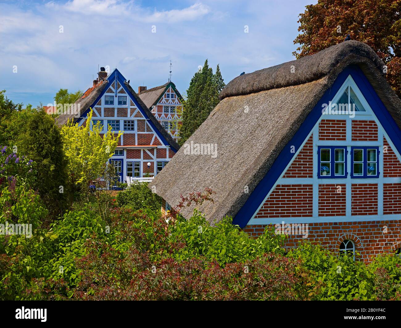 Altländer Fachwerk A Steinkirchen, Altes Land, Distretto Di Stade, Bassa Sassonia, Germania, Foto Stock