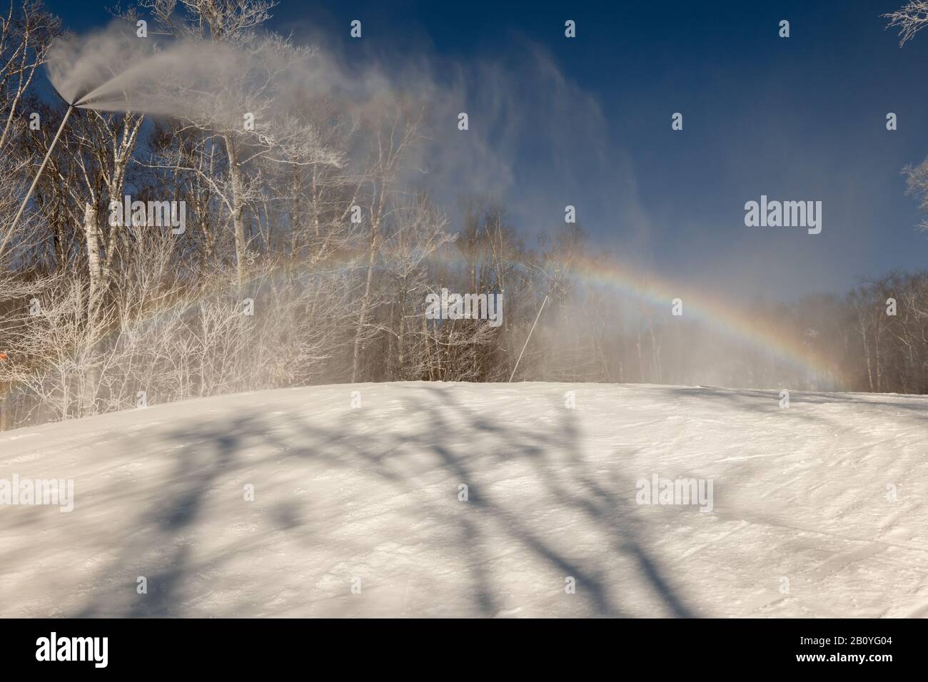 Noleggio Cannone Neve Baloolandia Com