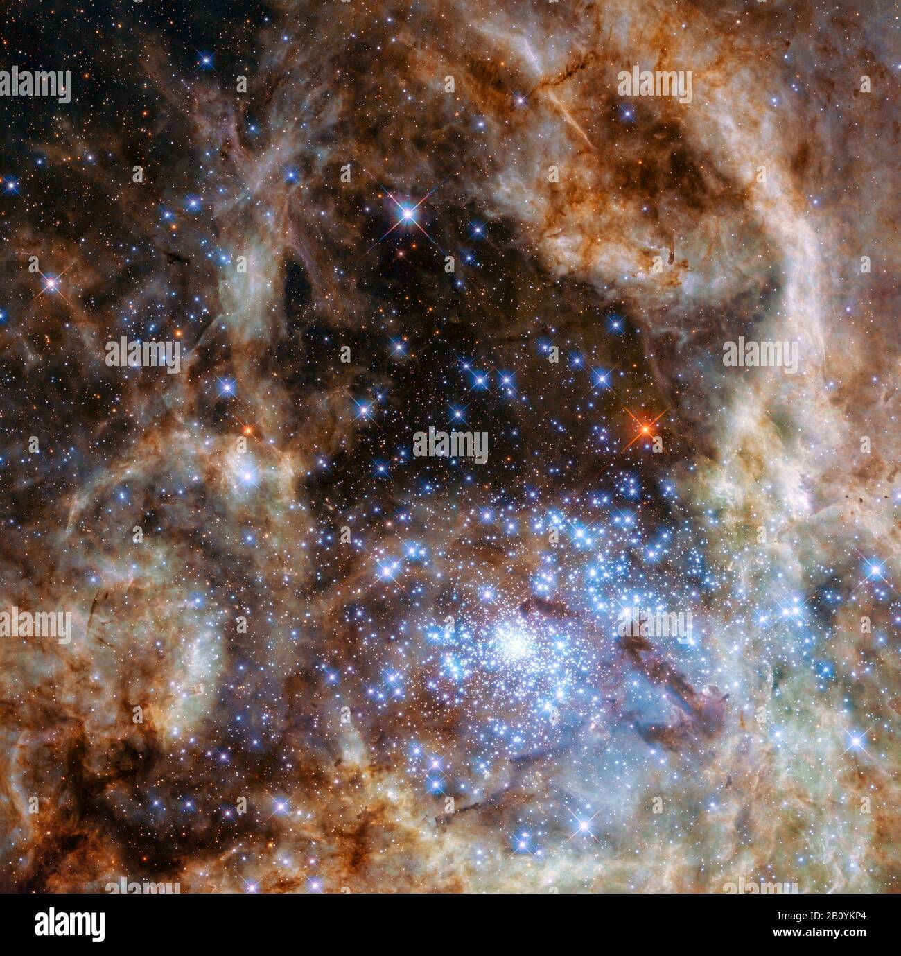 La regione centrale della Nebula Tarantula nella Grande Nuvola Magellanica. Il giovane e denso gruppo di stelle R136 può essere visto nell'angolo inferiore destro. Foto Stock
