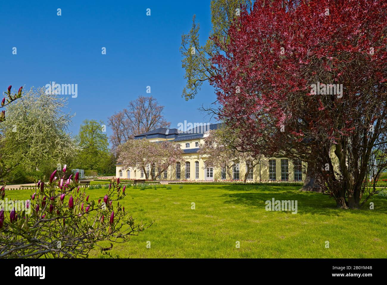 Orangerie nel parco del castello di Altenburg, Turingia, Germania, Foto Stock