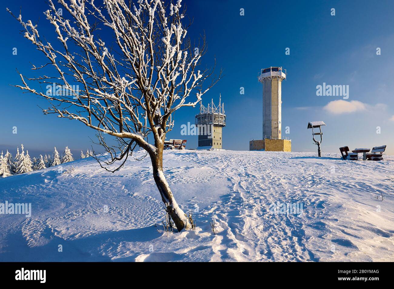 Neve con torre radio, torre di avvistamento e albero innevato vicino a Schmücke, Ilmkreis, Turingia, Germania, Foto Stock