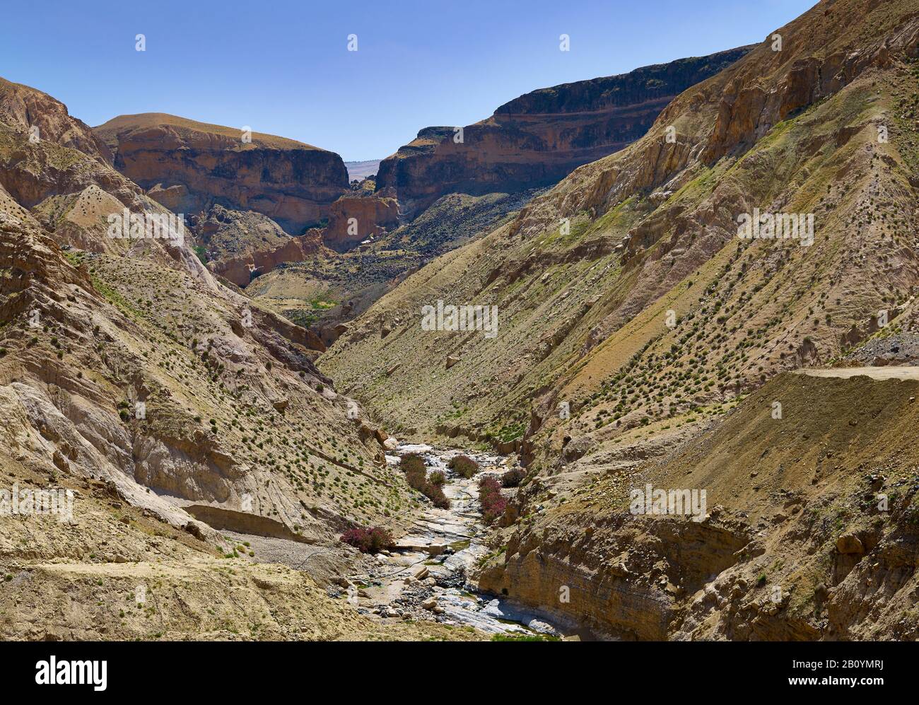 Valle delle sorgenti termali ad Ain Zarqa, provincia di Madaba, Giordania, Medio Oriente, Foto Stock