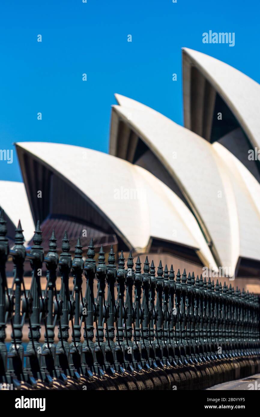 Le caratteristiche vele dell'Opera House, Sydney, Australia Foto Stock