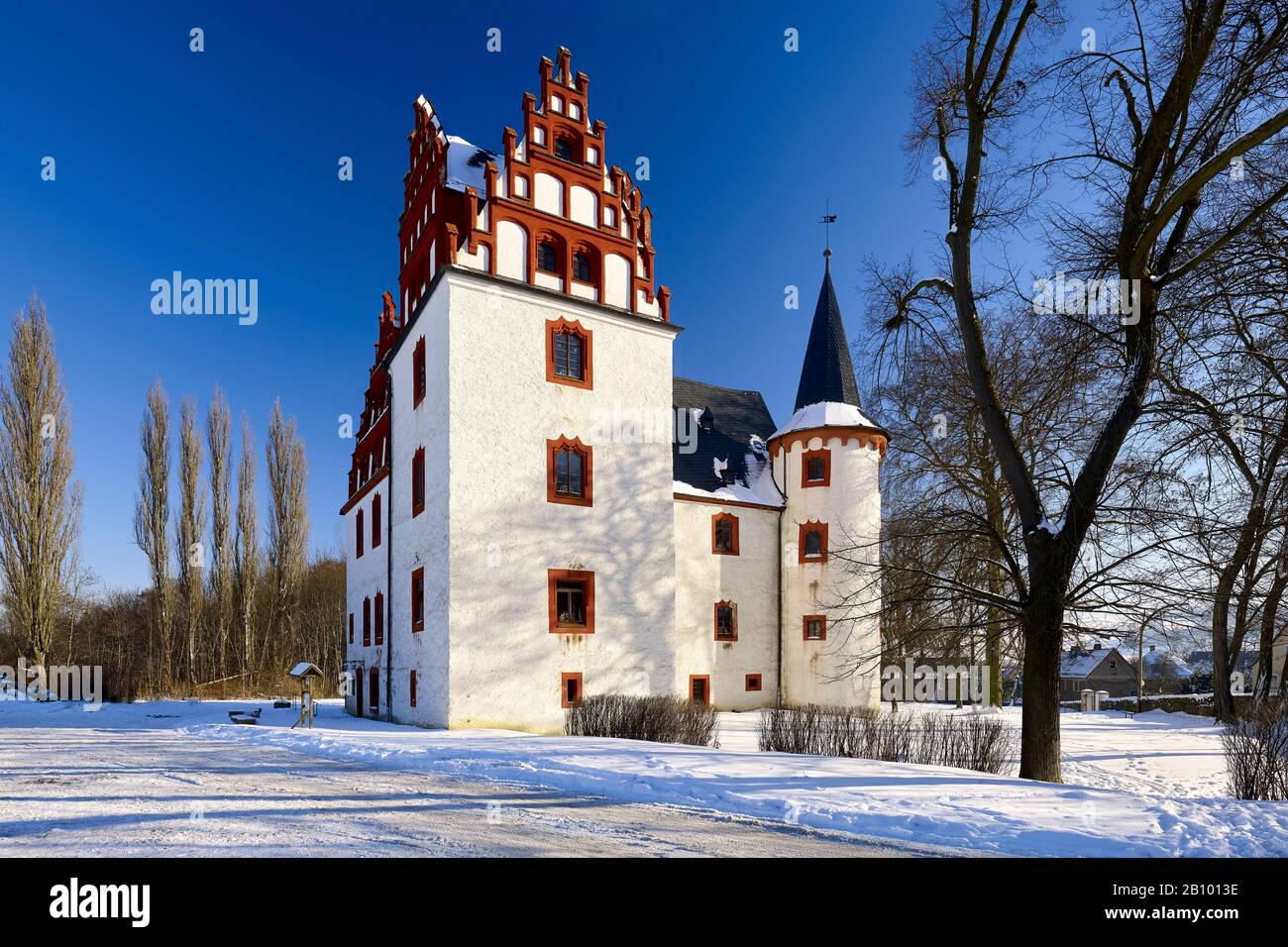 Castello Di Netzschkau Vicino A Mylau, Vogtland, Sassonia, Germania Foto Stock