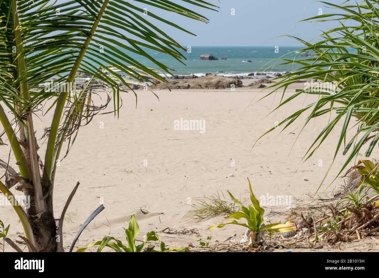 Palme in esotica spiaggia tropicale Foto Stock