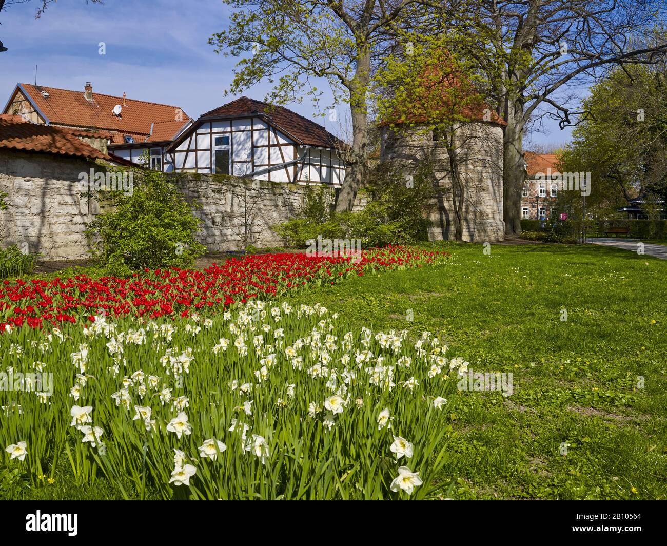 Torre di difesa sulle mura della città di Bad Langensalzza, Turingia, Germania Foto Stock