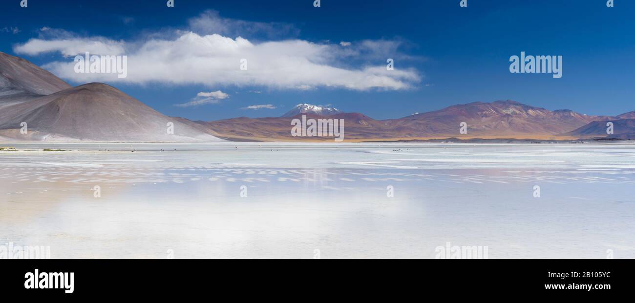 Salar de Aguas Calientes, salino, Atacama, Cile Foto Stock