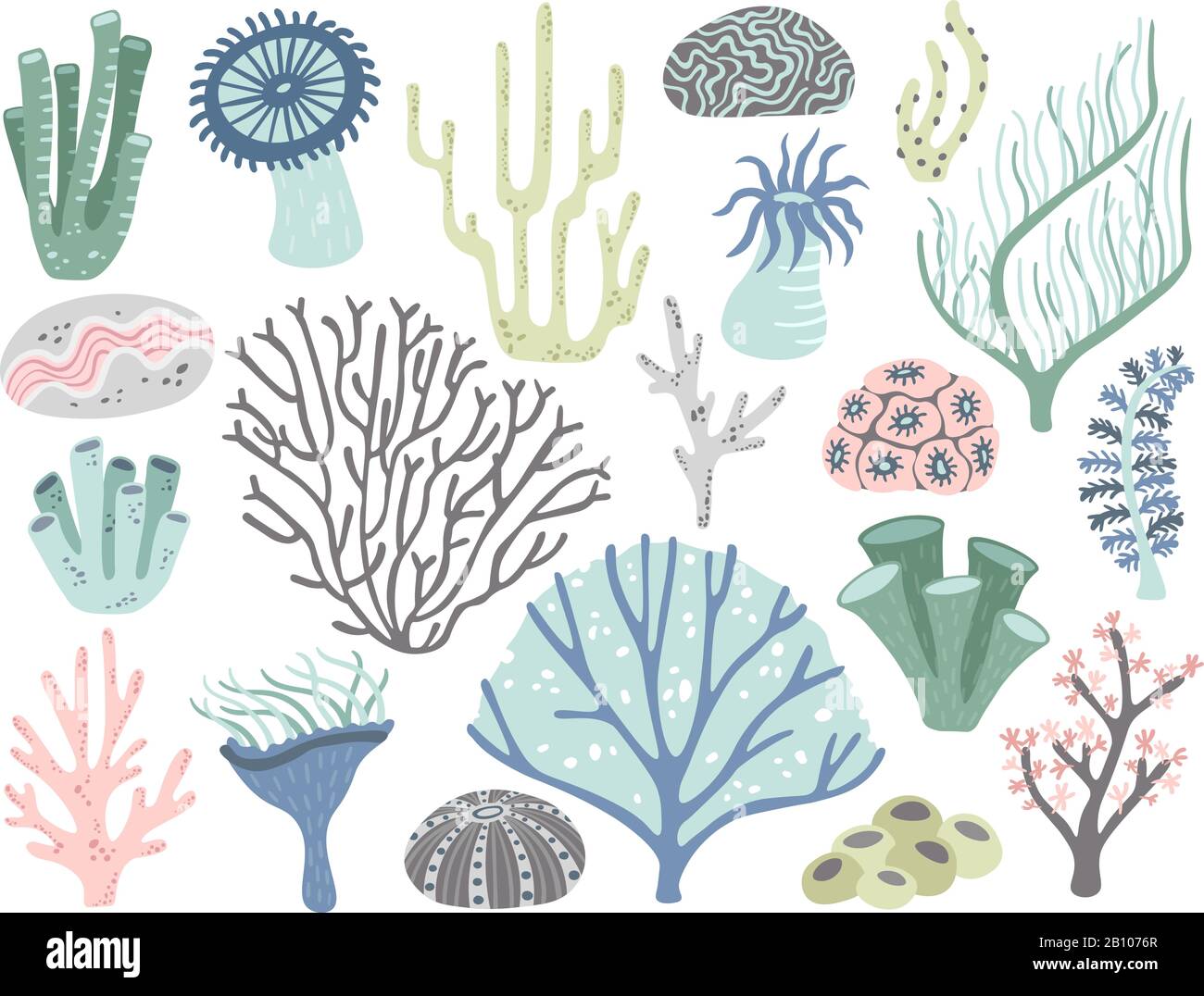 Coralli dell'Acquario e alghe marine. Marine oceano corallo flora, decorazione sott'acqua alghe e diverse piante d'acqua vettore cartone animato set Illustrazione Vettoriale