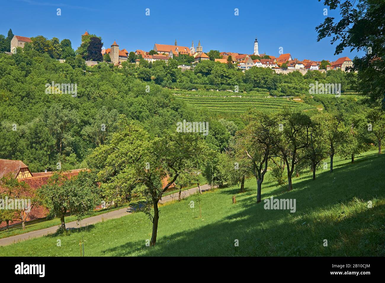 Vista sulla città da Taubertal, Rothenburg ob der Tauber, Baviera, Germania Foto Stock