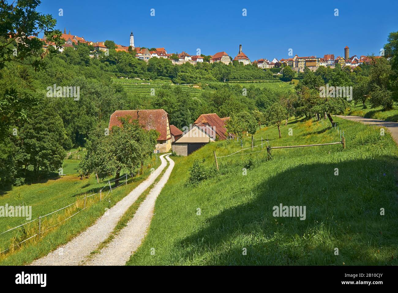 Vista sulla città da Taubertal, Rothenburg ob der Tauber, Baviera, Germania Foto Stock