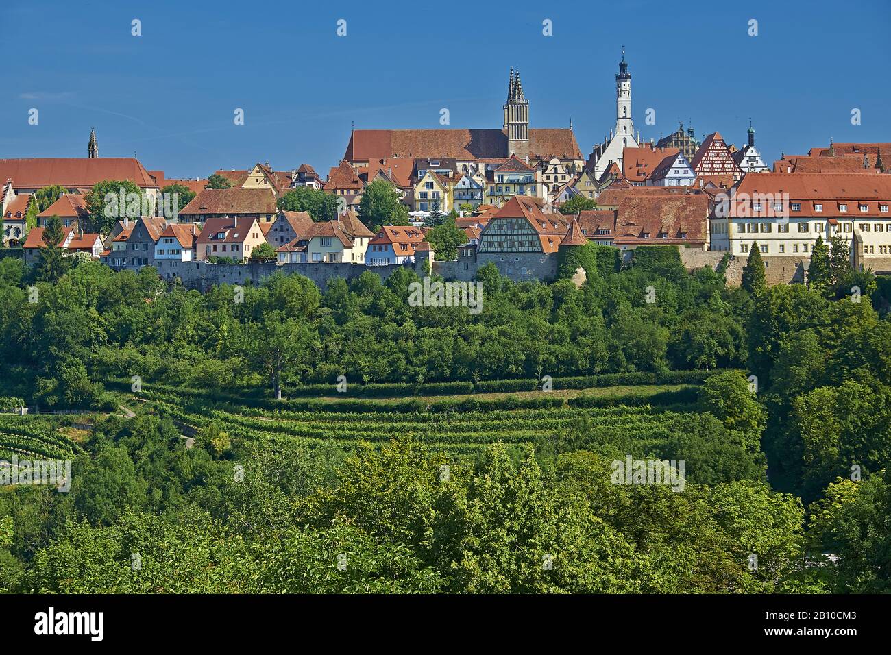 Vista sulla città con vigneto di Rothenburg ob der Tauber, Baviera, Germania Foto Stock