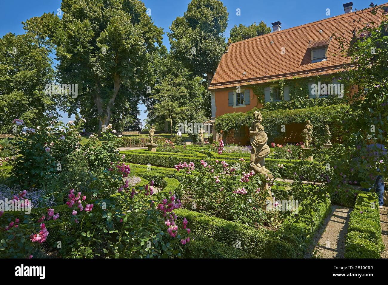 Giardino di rose con quattro elementi e stagioni nel giardino del castello a Rothenburg ob der Tauber, Franconia media, Baviera, Germania Foto Stock