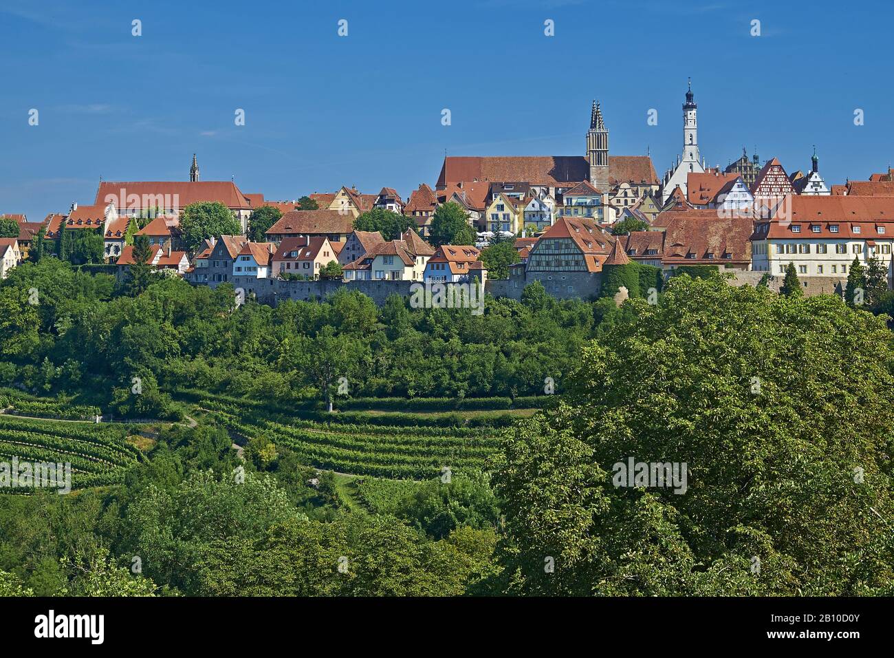 Vista sulla città con vigneto di Rothenburg ob der Tauber, Baviera, Germania Foto Stock