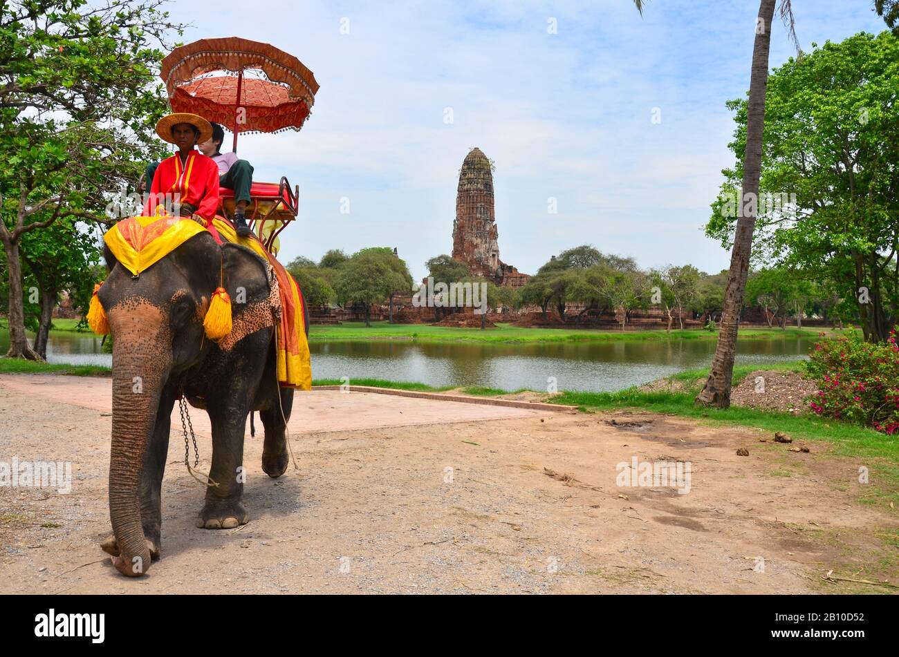 Visita turistica con elefante, tempio Wat Mahathat nell'antica città reale di Ayutthaya, Thailandia Foto Stock